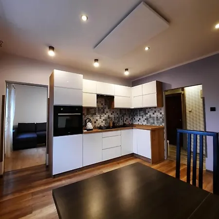 Apart Wilhelmina 75M2 Katowice Esterno foto